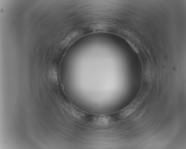 X0000069380282200605150925