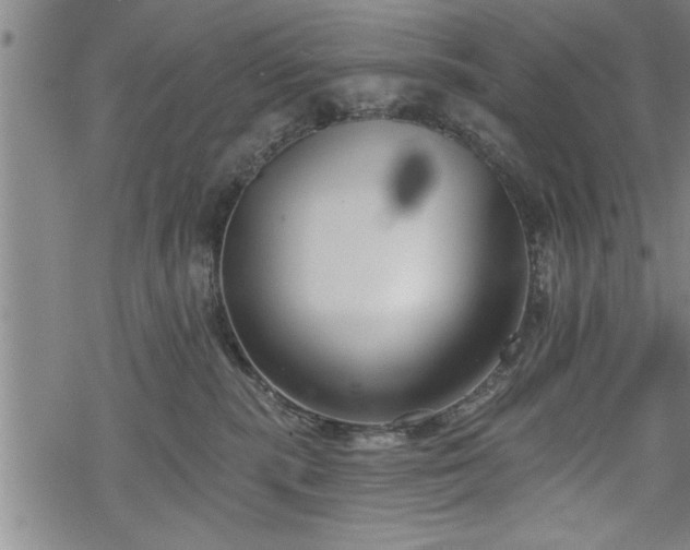 X0000069380283200605150925