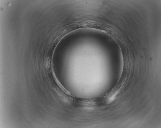 X0000069380284200605150925