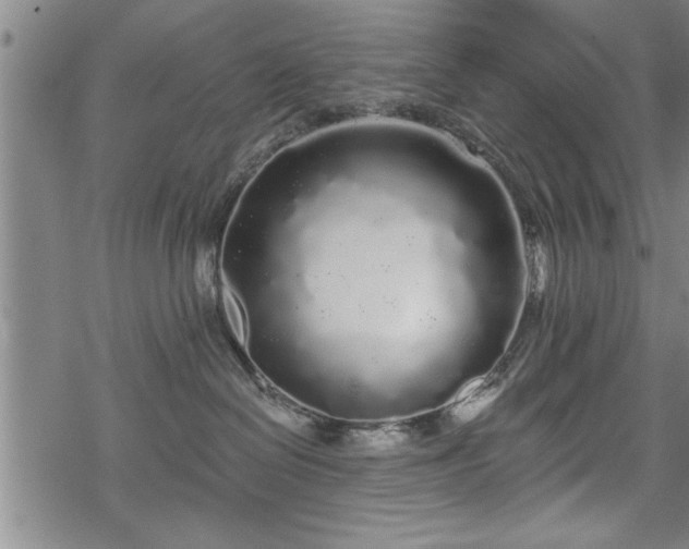 X0000069380286200605150925