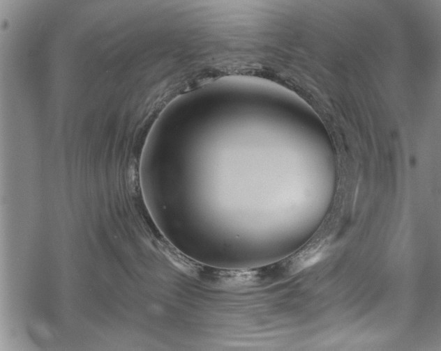 X0000069380288200605150925