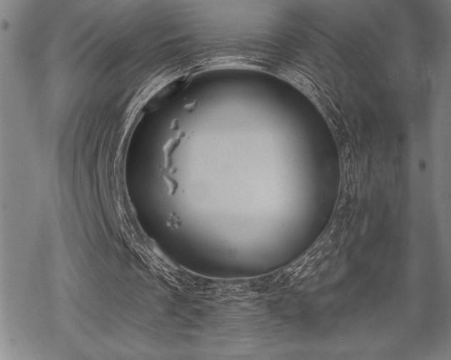 X0000069380289200605150924