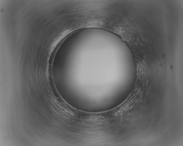 X0000069380292200605150924