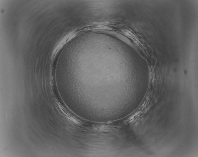 X0000069380293200605150924