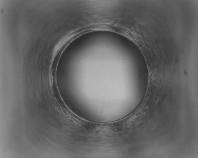 X0000069380294200605150924