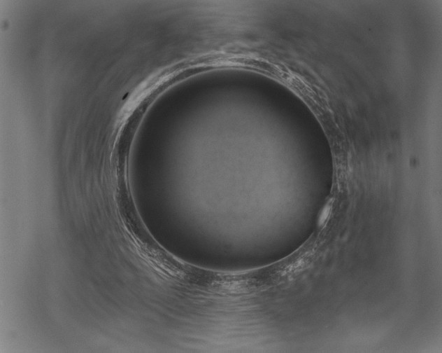 X0000069380295200605150924