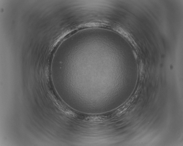 X0000069380297200605150924