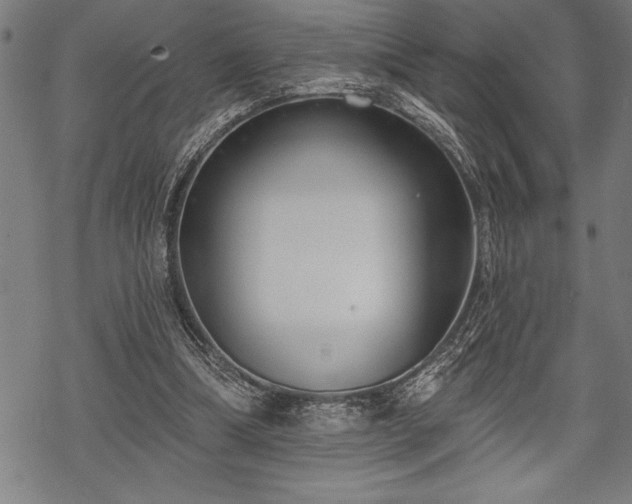 X0000069380298200605150924