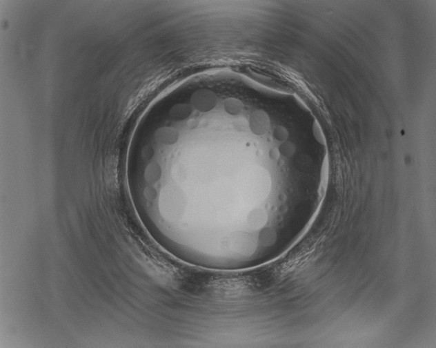 X0000069380299200605150924