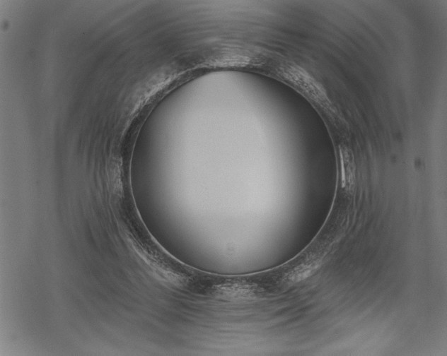 X0000069380300200605150924