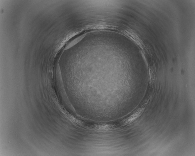 X0000069380301200605150924