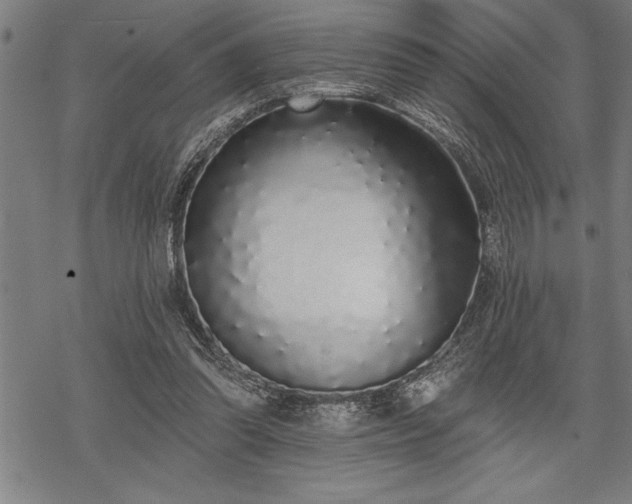 X0000069380302200605150924