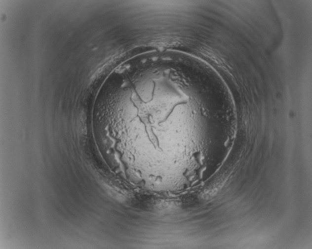 X0000069380303200605150924