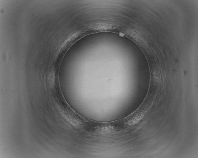 X0000069380304200605150924