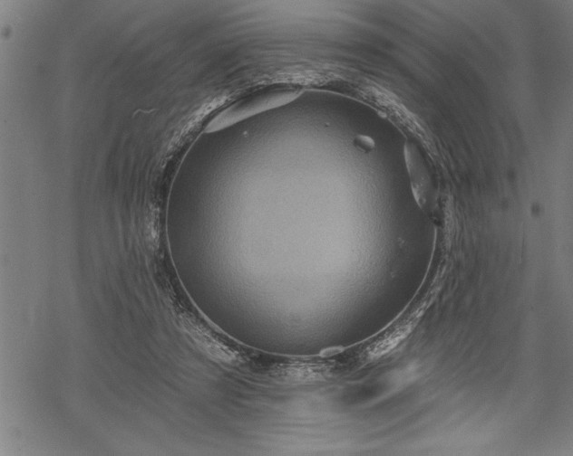 X0000069380305200605150924