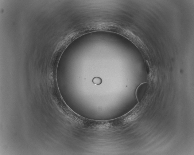 X0000069380306200605150924