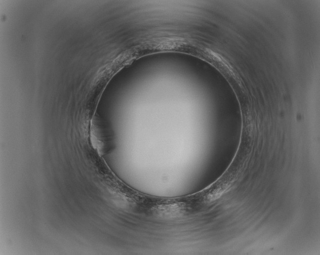 X0000069380307200605150924