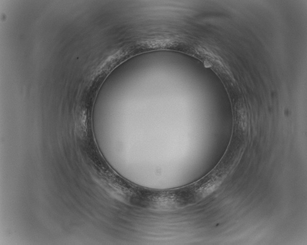 X0000069380308200605150924