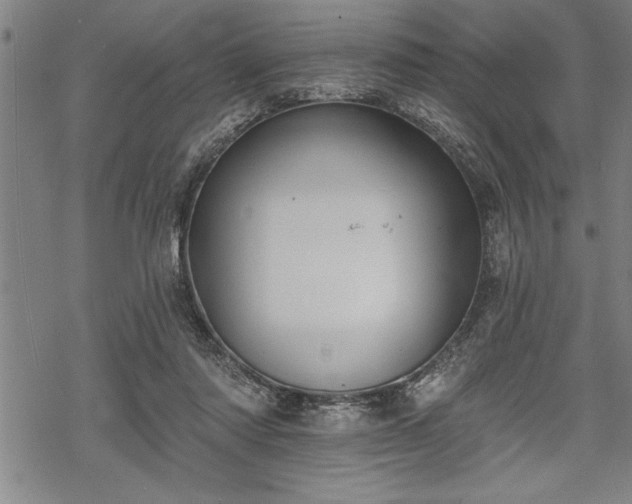 X0000069380310200605150924