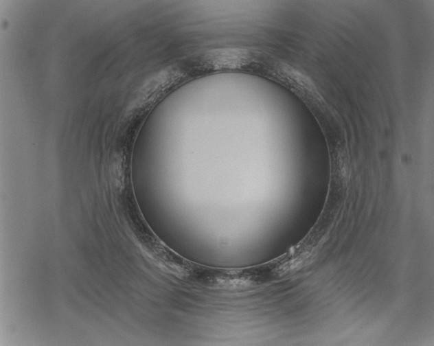 X0000069380311200605150924