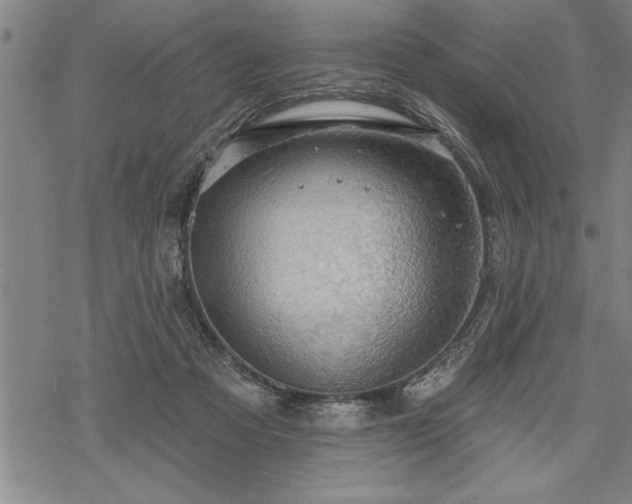 X0000069380313200605150924