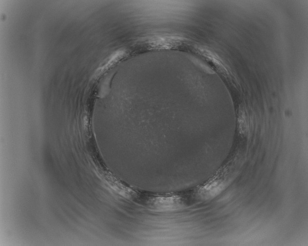 X0000069380314200605150924