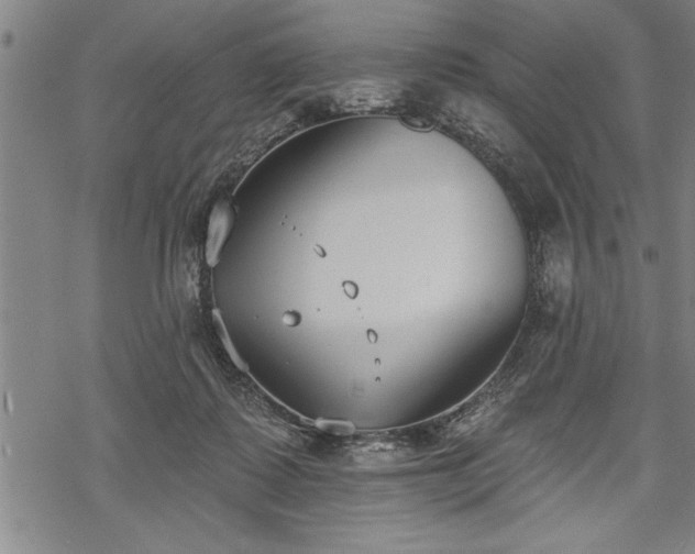 X0000069380315200605150924