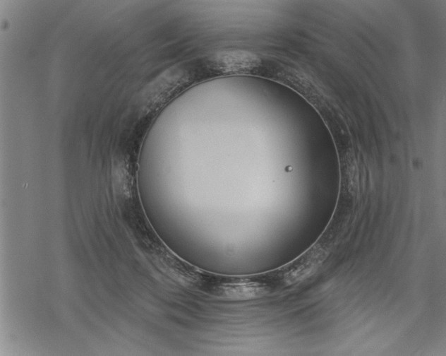 X0000069380316200605150924