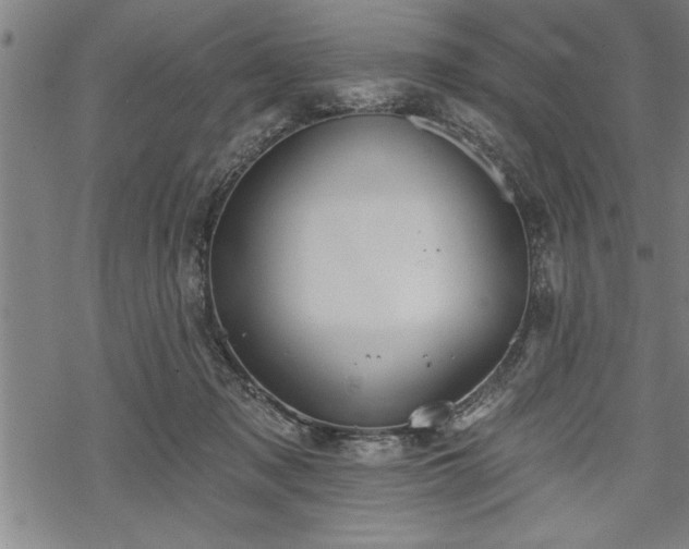 X0000069380317200605150924