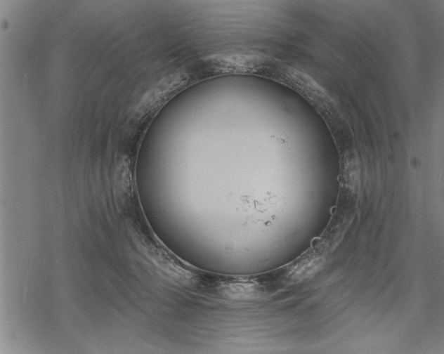 X0000069380318200605150924