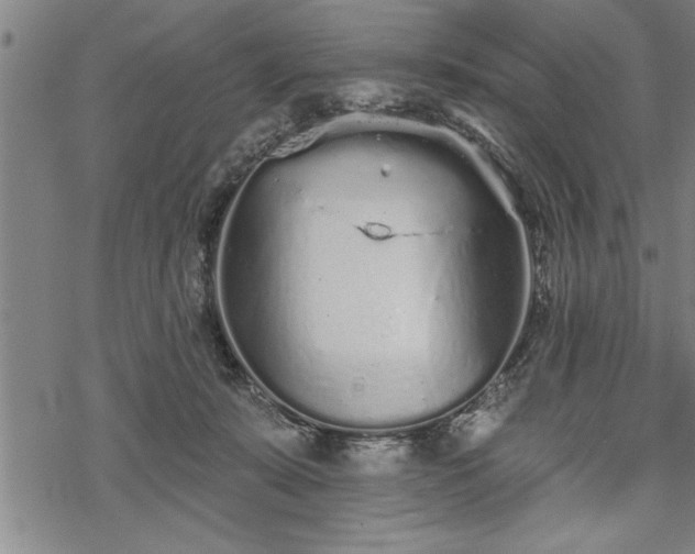 X0000069380319200605150924