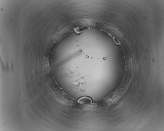 X0000069380320200605150924