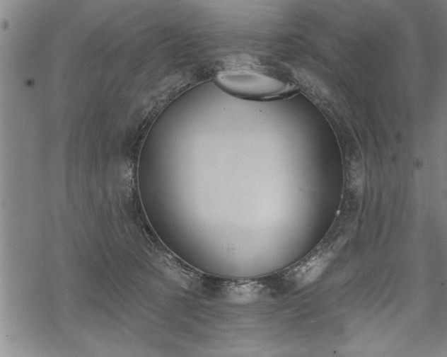 X0000069380321200605150924