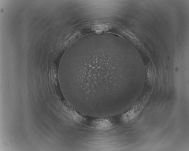 X0000069380322200605150924