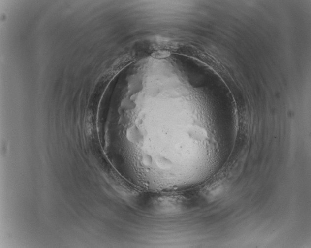 X0000069380323200605150924