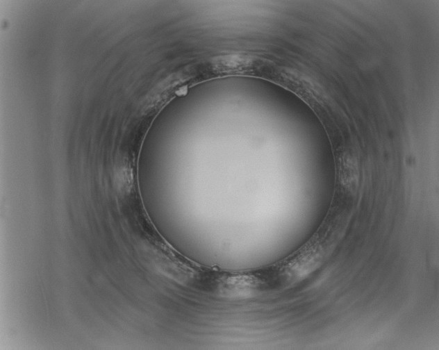 X0000069380324200605150924