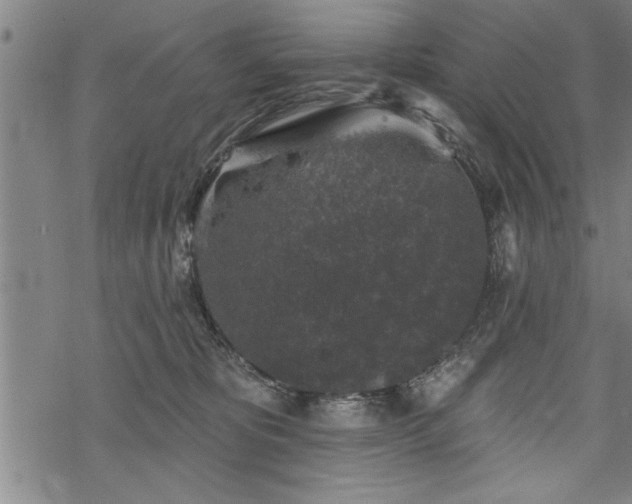 X0000069380325200605150924