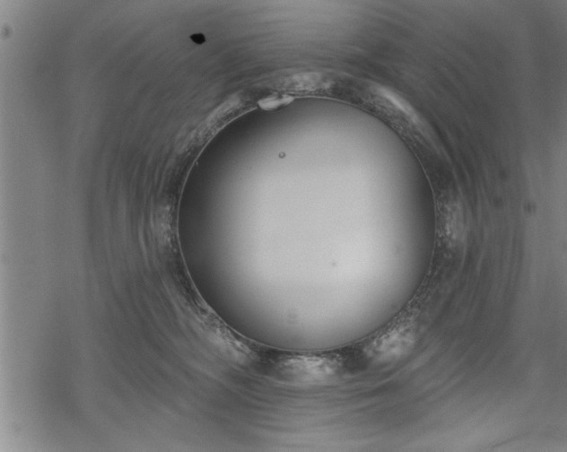 X0000069380326200605150924