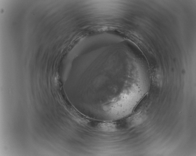 X0000069380327200605150924