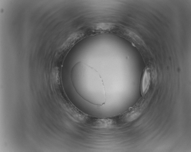 X0000069380328200605150924