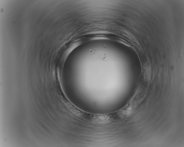 X0000069380329200605150924