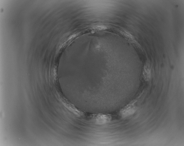 X0000069380330200605150924