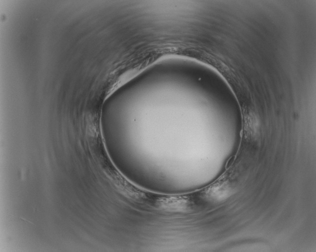 X0000069380331200605150924