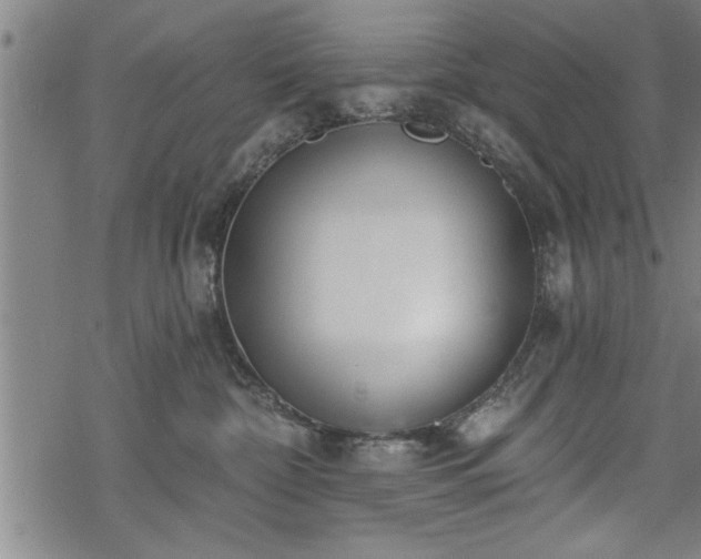 X0000069380332200605150924