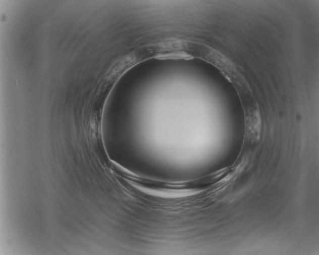 X0000069380333200605150924