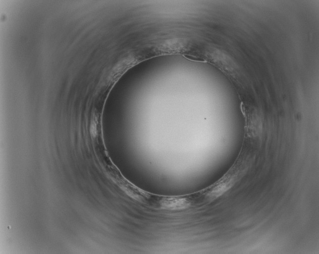 X0000069380334200605150924