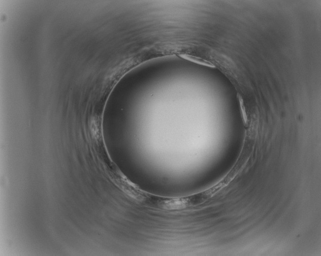 X0000069380335200605150924