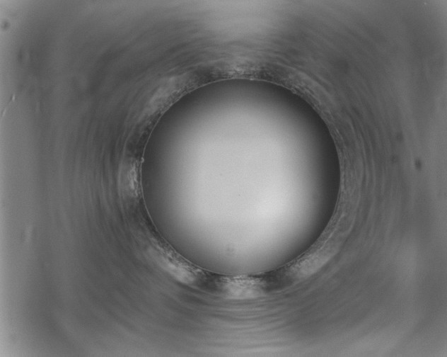 X0000069380336200605150924