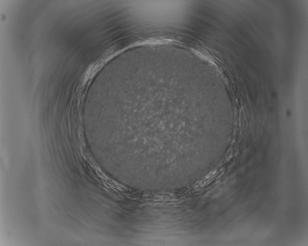 X0000069380337200605150923