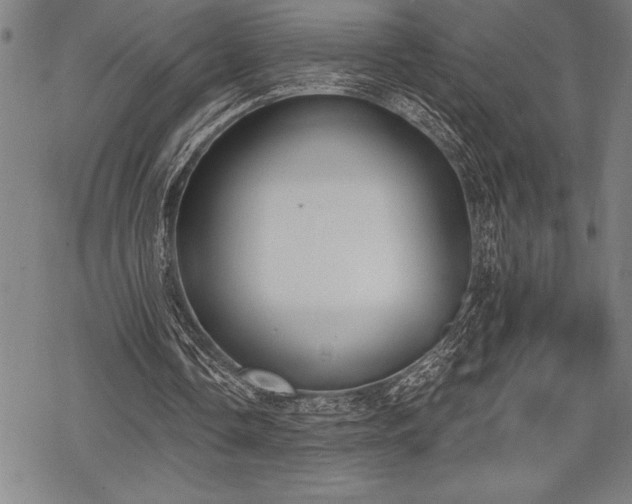 X0000069380338200605150923